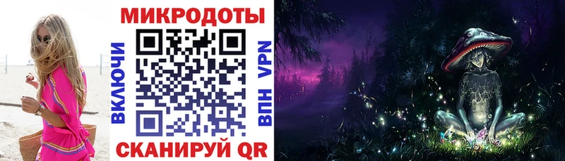 Галлюциногенные грибы Psilocybe Мелеуз