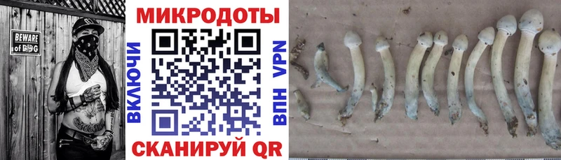 Купить закладки  Мелеуз  Галлюциногенные грибы MAGIC MUSHROOMS 